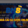 BK8 | BK8VN – Nhà cái cá cược trực tuyến Châu Á